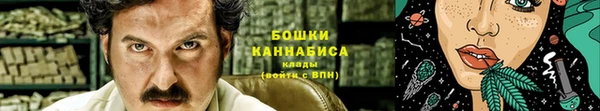 крисы Майский