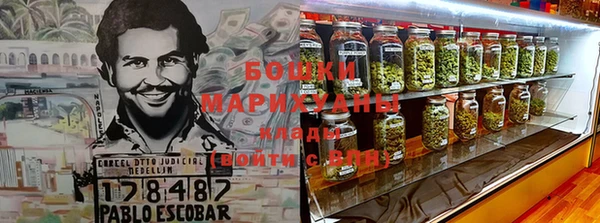 крисы Майский
