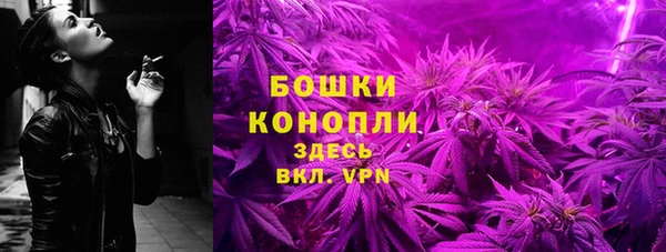крисы Майский